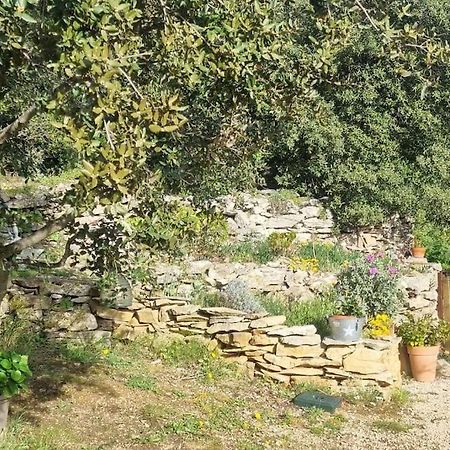 Maisonnette Chez L'Habitant La Ciotat Exterior foto